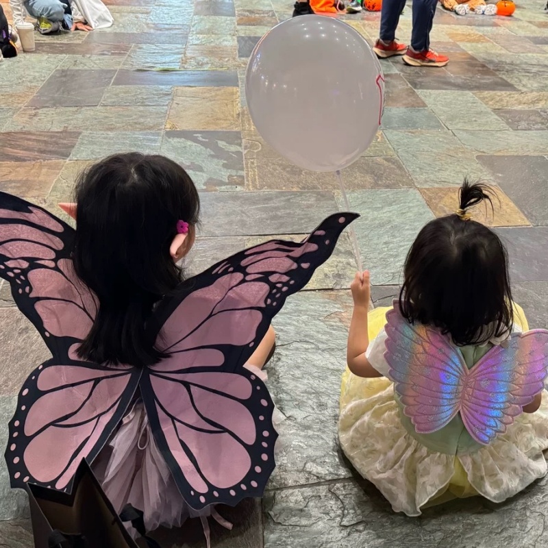 Cosplay Pink Butterfly Wings B - Baby Clothing Model ulasan dan harga
